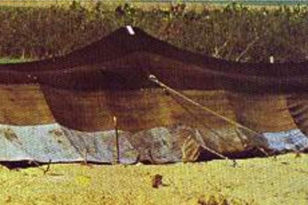 #44  Bethel – Abram’s Tent