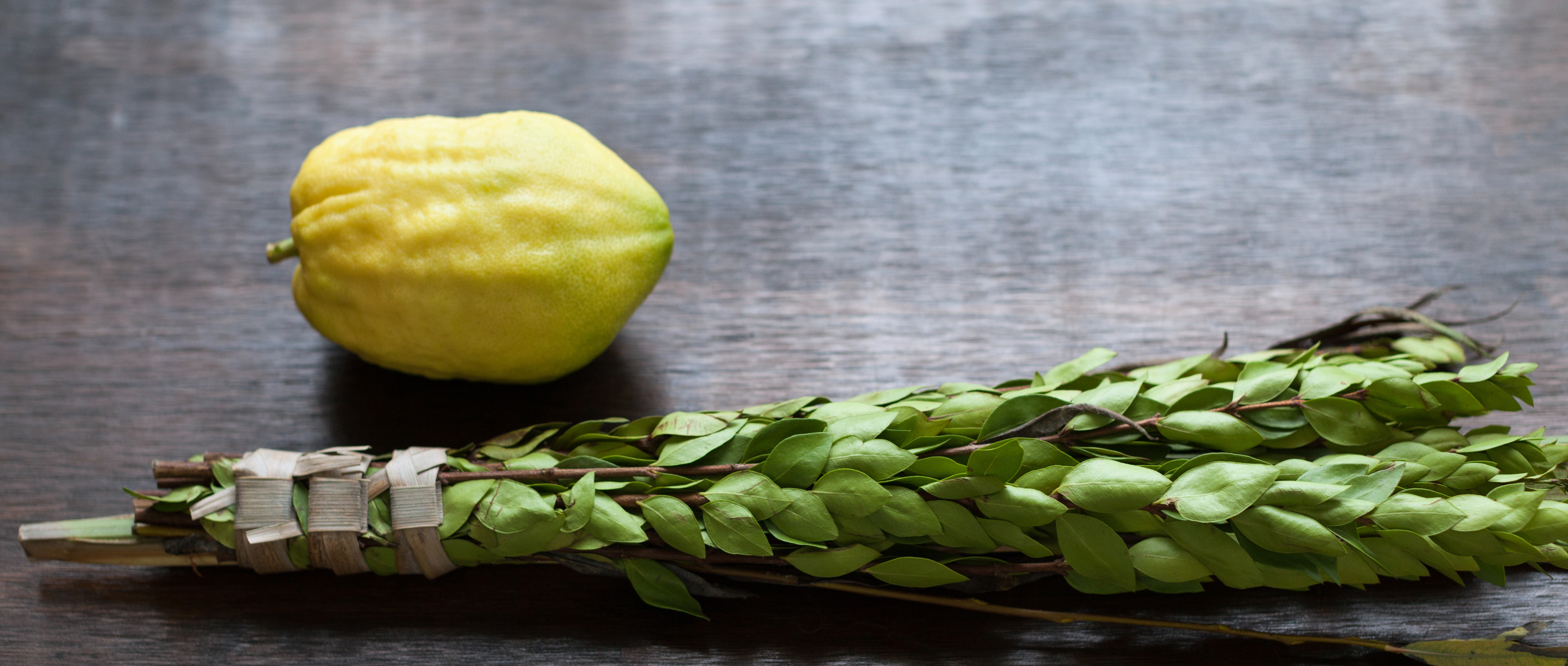 Chol Hamo’ed Sukkot